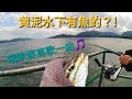 釣點海水時黃時綠 釣魚止癢還可以 岸釣|遠投|沙鑽~綠鷹西澳釣魚樂(117)