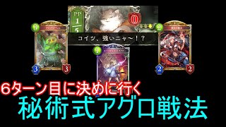 【Shadowverse/シャドバ】守護ビショップ相手に６ターンキルを狙う秘術ウィッチ【十禍闘争】