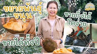 เคล็ดลับขยายพันธุ์ขนุนให้โตง่าย ขายได้ทั้งปี | Urban Gardening ปิ๊ง! ไอเดียปลูก