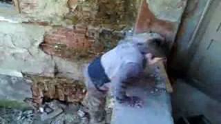 Parkour in Bibarcfalva