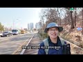 3월이 아름다운 도심속 숲길 7km 걷기 편한 트레킹코스 평택 섶길