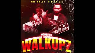 MMtWaldy x 1100Dollaz-WALKUPZ(Official Visualizer)