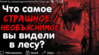 ЧТО САМОЕ СТРАШНОЕ / НЕОБЪЯСНИМОЕ ВЫ ВИДЕЛИ В ЛЕСУ?