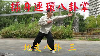 【Gao Style Baguazhang】64 Palms Form San