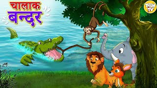 चालाक बंदर l Hindi Kahaniya | Hindi Moral Stories | Hindi Cartoon l Toon Tv Hindi Stories