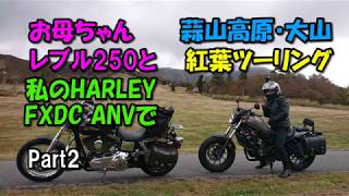 お母ちゃんLebel250と私HARLEY FXDCで蒜山高原・大山に一泊で紅葉ツーリングに行って来ました Part2