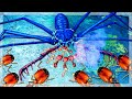 Big Headed Ants VS Giant Whip Spiders & Velvet Worms