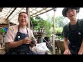 how to make a mini bonsai. mr. hiruma s bonsai class bonsai q