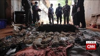 Gruesome find in Thai Tiger Temple