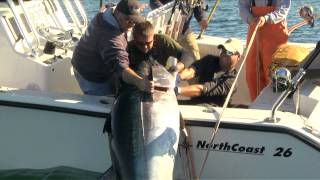 Giant Tuna On Spinning Gear | Stellwagen Bank | On The Water TV