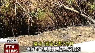 天乾物燥又高溫 北投火燒山－民視新聞