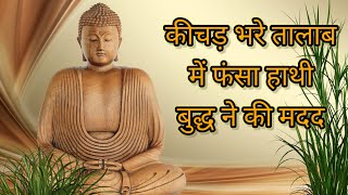 कीचड़ भरे तालाब में फंसा हाथी - बुद्ध की मदद  #buddha #zen