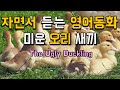 자면서 듣는 영어동화 : 미운 오리새끼 (The Ugly Duckling)