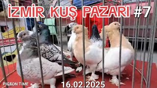 İzmir Kuş Pazarı. #7 (16.02.2025). #güvercin #pigeontime  #kuşpazarı