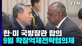 한미 국방장관, 확장억제전략협의체 9월 개최 합의 / YTN