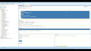 Plsql Variable declaration rules with Examples