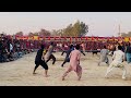 joan shah vs aneel chand match shahpur layyah part 1