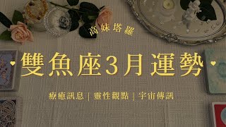 🌸雙魚座3月運勢 | 擺脫過往阻力✨擁抱全新人生 | 療癒訊息/靈性成長/宇宙傳訊 | 高妹塔羅