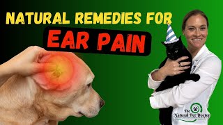 Natural Remedies For Treating Ear Pain In Dogs And Cats