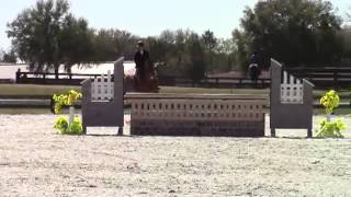 Video of Bostonian ridden by Ivy Watson from ShowNet!