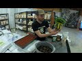 buildasoil how to root cuttings 10x10 episode 17