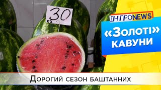 Чи купують дніпряни кавуни у 2022?