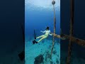 綠島石朗自由潛水十字架 green island free diving cross taitung freediving greenisland taiwan divinggirl