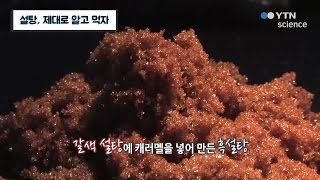 설탕, 제대로 알고 먹자 / YTN 사이언스