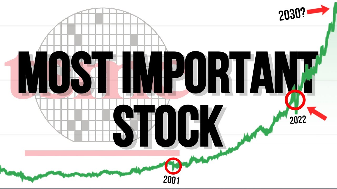 The World's Most Important Company: Taiwan Semiconductor Manufacturing ...