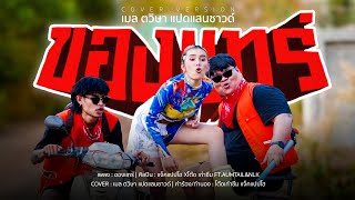 ของแทร่ เมล ตวิษา แปดแสนซาวด์ 「COVER MV」