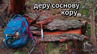 БІЗНЕС НА КОРІ |15 000 тис|. Як дерти соснову кору #кора #гроші #бізнес #ліс #порода #заробіток