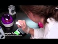 PCR - Pipetting a Plate.mov