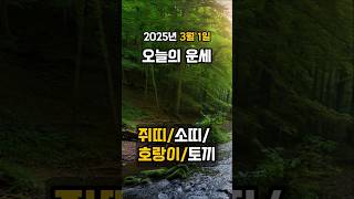 2025년 3월 1일 오늘의 운세 #쥐띠 #소띠 #호랑이띠 #토끼띠