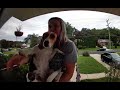 daphne the rescue beagle rings the @ring doorbell