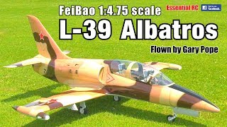 GIANT SCALE AERO L-39 ALBATROS (FeiBao 1:4.75 scale, Wren 160, Jeti)