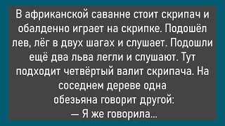 🔥Гардеробщица С 30-Летним Стажем Может...Большой Сборник Смешных Анекдотов,Для Супер Настроения!