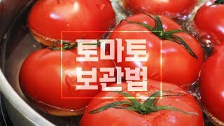 [ENG] 🍅토마토 오래 보관하는법🍅 토마토 보관법 / The Best way to keep tomatoes / 레미의맛 RemyKitchen