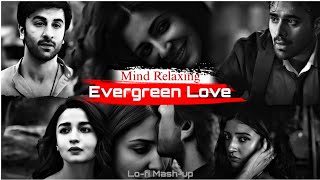 Evergreen Love | Mind Relaxing Bollywood Romantic Songs | It's Lo-fi Time'