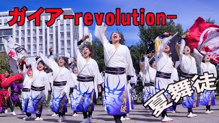 📌ガイア revolution  夏舞徒2023