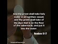 numbers 5 17 and the priest shall take holy water in an earthen...