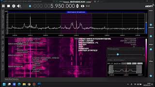 Radio Catface International 5950kHz