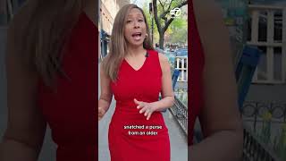 NYPD officer on horseback catches purse snatcher