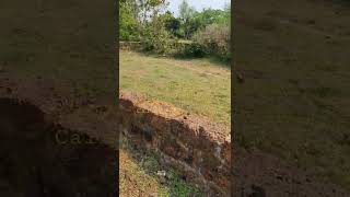 2360 sq. ft. plot for sale in Madhuban, Trisulia, Cuttack. Call: 9438735113 squareloopestates.com