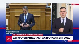 Σύγκρουση Μητσοτάκη - Ανδρουλάκη στη Βουλή με αφορμή την αγροτική πολιτική | Μεσημβρινό δελτίο