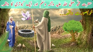 Hazrat Muhammad SAW Aur Kabootari Ka Waqiya | Islamic Stories |Hdlife3