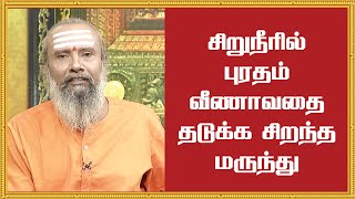 சிறுநீரில் புரதம் வீணாவதை தடுக்க சிறந்த மருந்து! | Parampariya Maruthuvam | KalaiMalar | Jaya TV