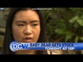 WDCW: DCW 50 News At 10pm Open--2016