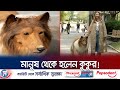 ছিলেন মানুষ, টাকা খরচ করে নিজেকে বানালেন কুকুর!| Man Transforms Dog | Japan | Jamuna TV