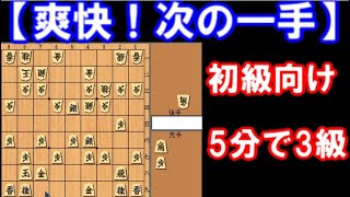 【将棋 次の一手】爽快！気持ちいい一撃必殺　初級向け、5分で3級