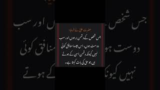 hazrat ali friendship quotes in urdu status #islamicquotes #hazrataliquotes #shorts
